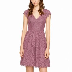 Aritzia Babaton Tobias Lace Dress with Pockets Dusty Rose Mauve Eyelash Lace